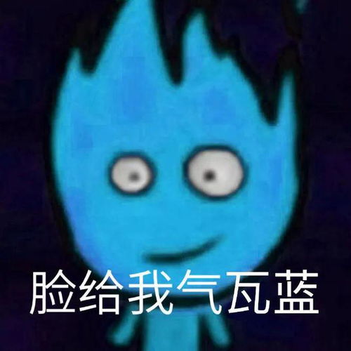 鸡哔你猫咪表情包