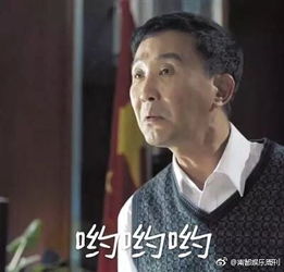 全国人民在追剧人民的名义李达康实力圈粉大双眼皮成焦点