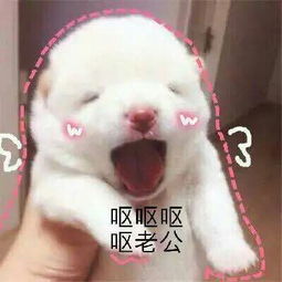 和吴世勋恋爱是什么感受