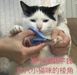换个工作结果导致身份失效一季度h1b32的高拒批率令人咋舌