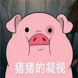 粉色小猪猪的凝视表情包见过那么多猪还是你最可爱