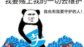 白夜跨天气执法观神白轻松双帝王810附字幕解说