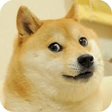 这条当了万年配角的狗,终于打败了doge