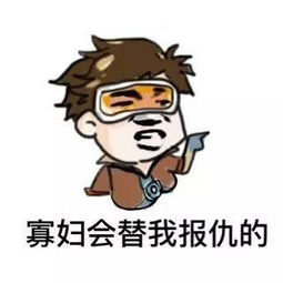 妈妈再也不担心我斗图了守望先锋表情包多图杀流量