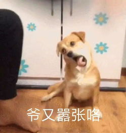 每日壹乐