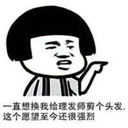 蘑菇头吐槽理发师系列表情包剪之前想换发型,剪之后想换脸
