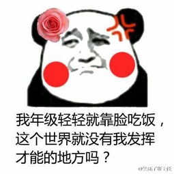 静静看表情包