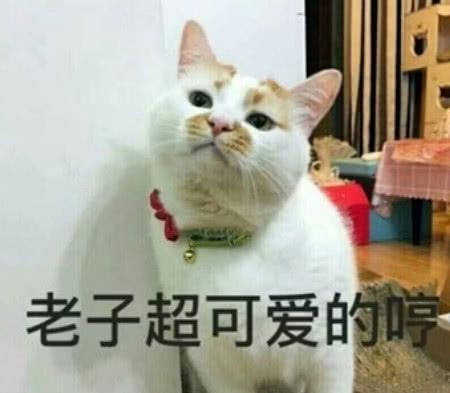 专怼杠精表情跟我去工地干活吧,我发现你特别能抬杠
