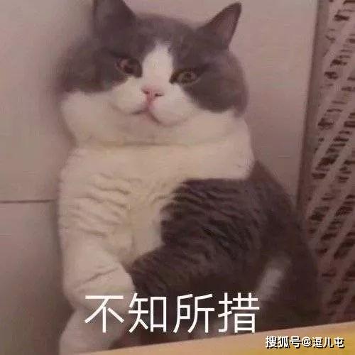 相亲对象居然是小学班主任场面一度令人窒息...