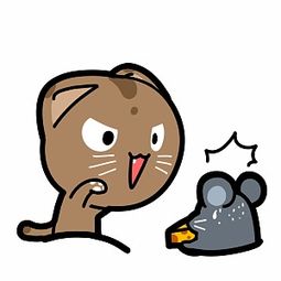 呆呆小熊的喵小灰表情