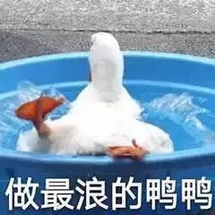 护肤品改善不了的出油爆痘,我靠这些搞定了