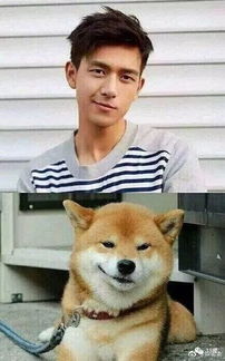 太像了前老公pk现男友明星撞脸是个技术活,撞好了像人,撞不好
