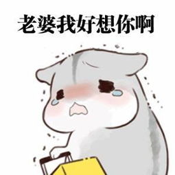 可爱仓鼠表情包大家