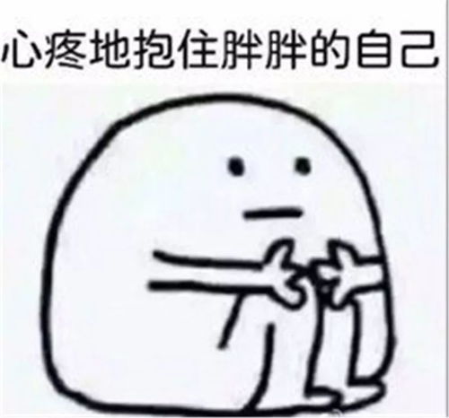 不笨不胖不懒的猪