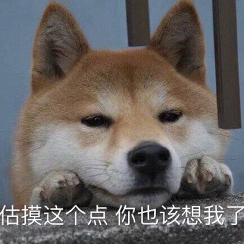 我很好我没事表情包大全