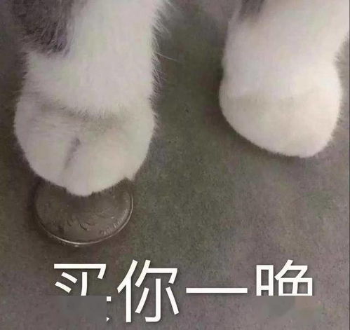 让泫雅lisa彻底变心的牛仔靴究竟好看在哪里