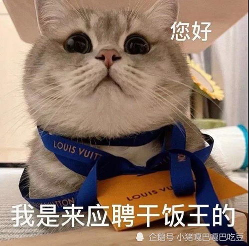 朋友圈沙雕文案分享三