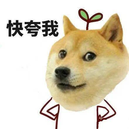 重要提醒这2项考试报名即将开始,可别忘了哦