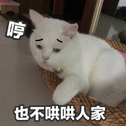 哄人表情包哄人微信表情包哄人qq表情包发表情fabiaoqing.com