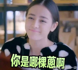 卓伟攻击杨幂不成矛头向迪丽热巴如何接招