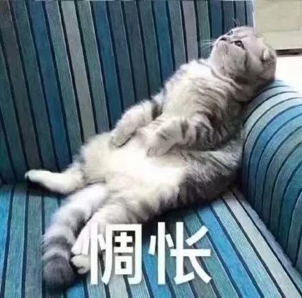 来了,来了,它最终还是来了