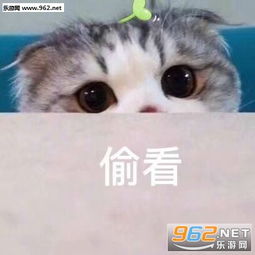 再见漂流瓶联系表情包猫猫虫猫咪图片下载乐游网游戏下载