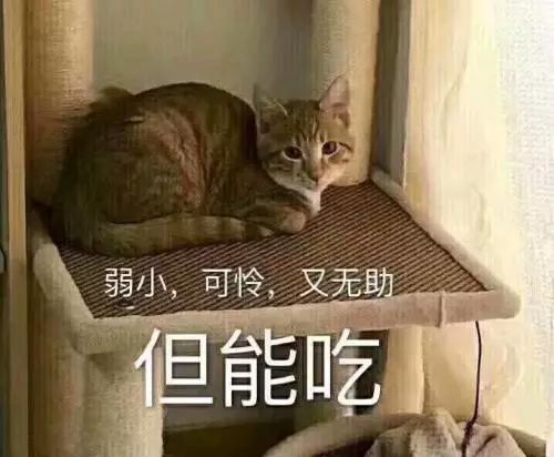 2018微信数据报告,是不是真实生活中的你