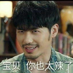 朱一龙表情包请给龙哥发私信,告诉他我发了他的表情包