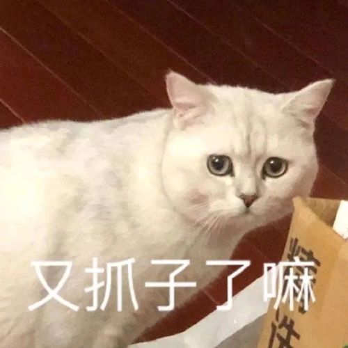 臭弟弟给你我的小心心