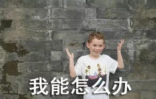 假笑男孩中国行新款中国限定版表情包已上线