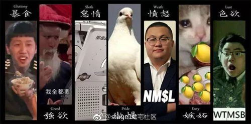 周末瞎聊就算马上要过年了也不可以摸鱼哦