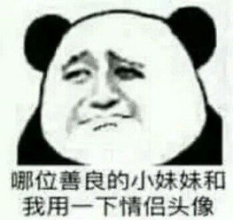熊猫头撩妹表情包你去哪里了,我好想你