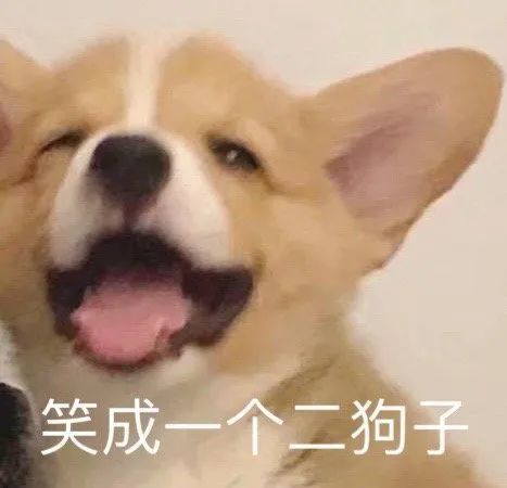 跟你超配的沙雕表情包