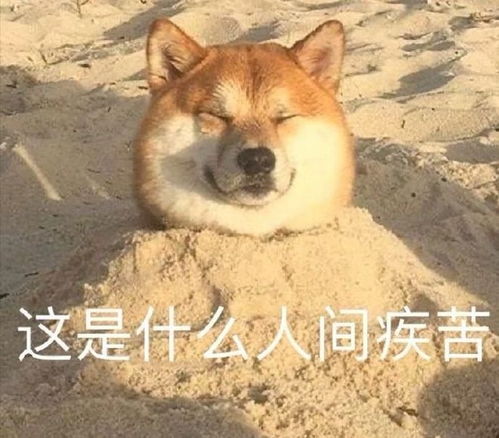 暑期档最能打的端游百万玩家认证,诸神国度国服再现