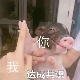 保研经验作为推免生,你不得不知道的七大问题