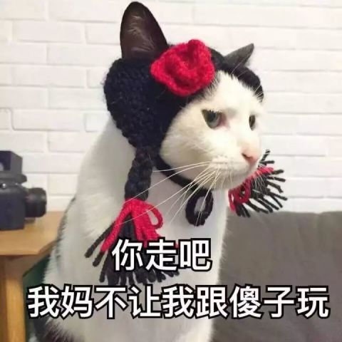 别人家的男朋友,从来都不会让我失望