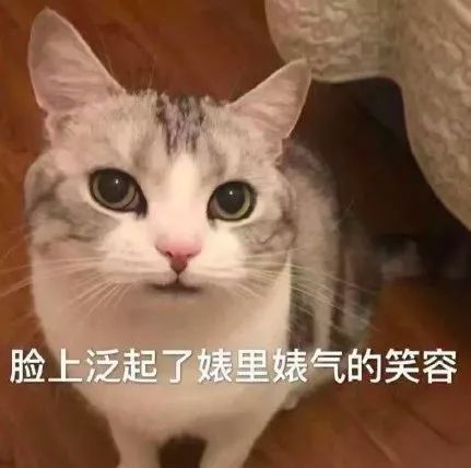 表情包丨别的小朋友都恋爱了,你死哪里去了