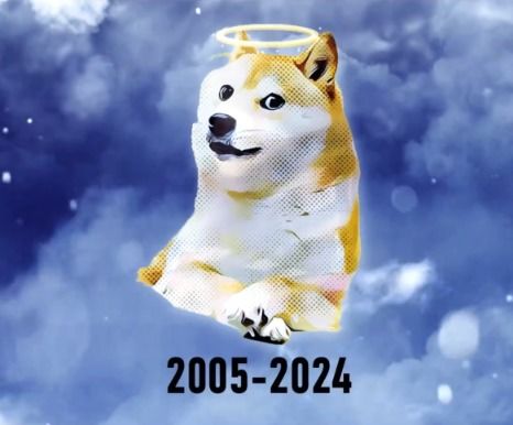 日媒18岁世界第一有名柴犬去世,以它为原型的表情包风靡全球
