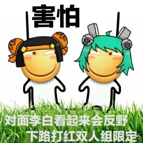 丑鸭子表情包天神号