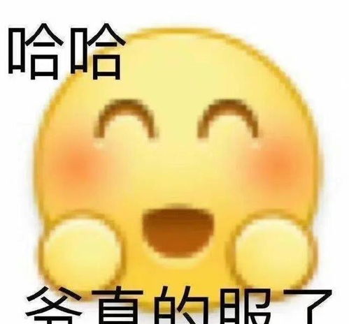 一组实用表情包表情包无水印