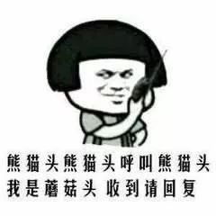 狗子狗子收到请回答表情包小可爱小可爱收到请回复over表情包下载乐游网游戏下载