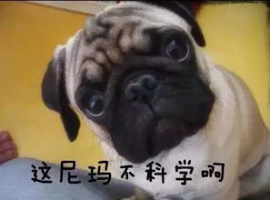 正月初七丨不仅是立春和上班第一日,其实也是你的生日看完涨姿势
