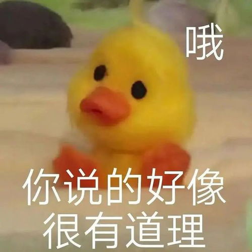 炸鸡鸭鸭那么香,为什么不炸鸭