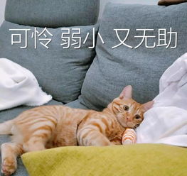 和爸妈聊天千万别发表情包你猜不到他们会理解成什么