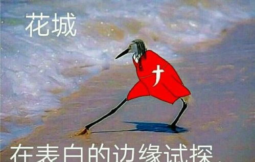 天官赐福花城为何总怀疑自己是丑八怪,网友四个字道破真相