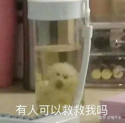 猫砂横向评测猫砂怎么选猫砂