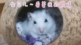 秀得一手好肌肉的小兵哥又来了