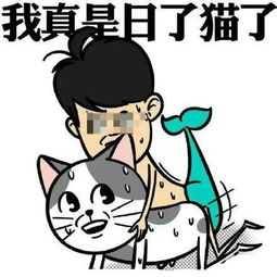 口袋妖怪复刻毁童年就是如此的愉悦你懂吗