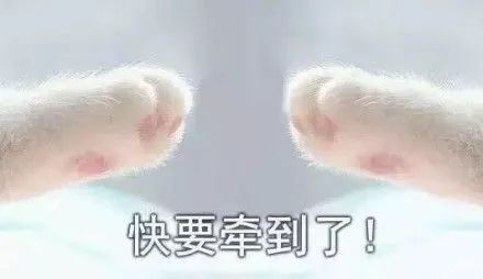 南充最哄人的21句话,最后一个看得我眼泪掉下来