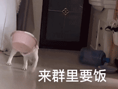 群聊表情包群聊没人接话我就像个傻子一样